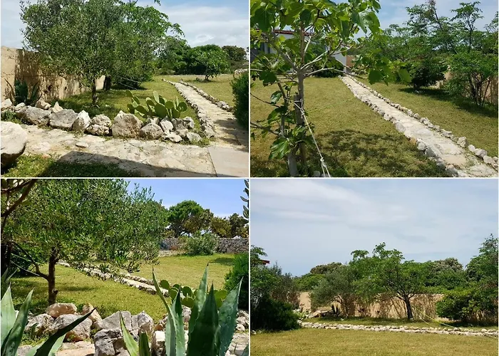 Mandrina House